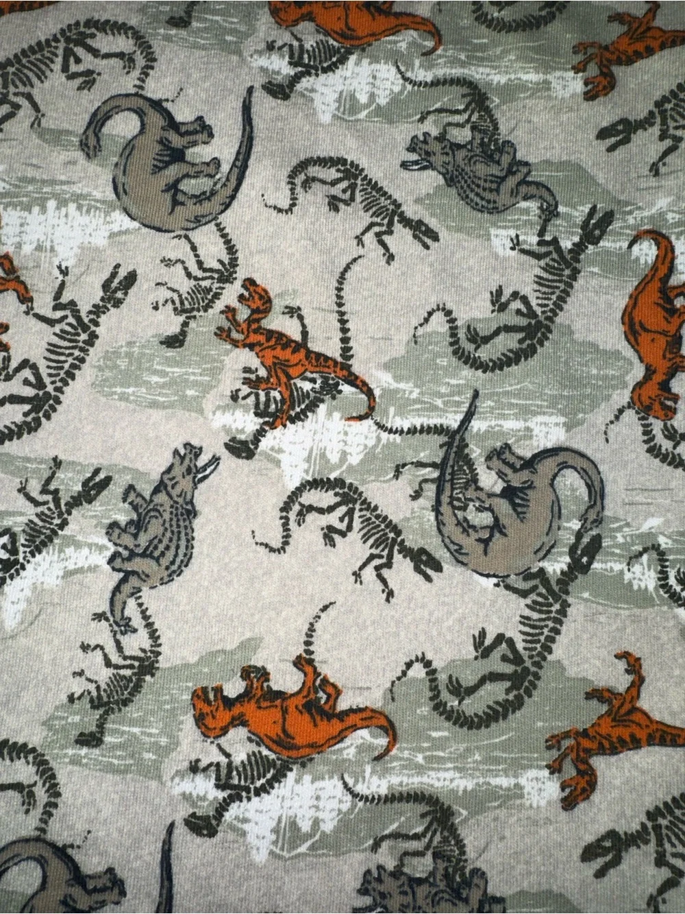 Vintage dinosaur tee